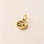 The Mystic Astrological Sign Charm