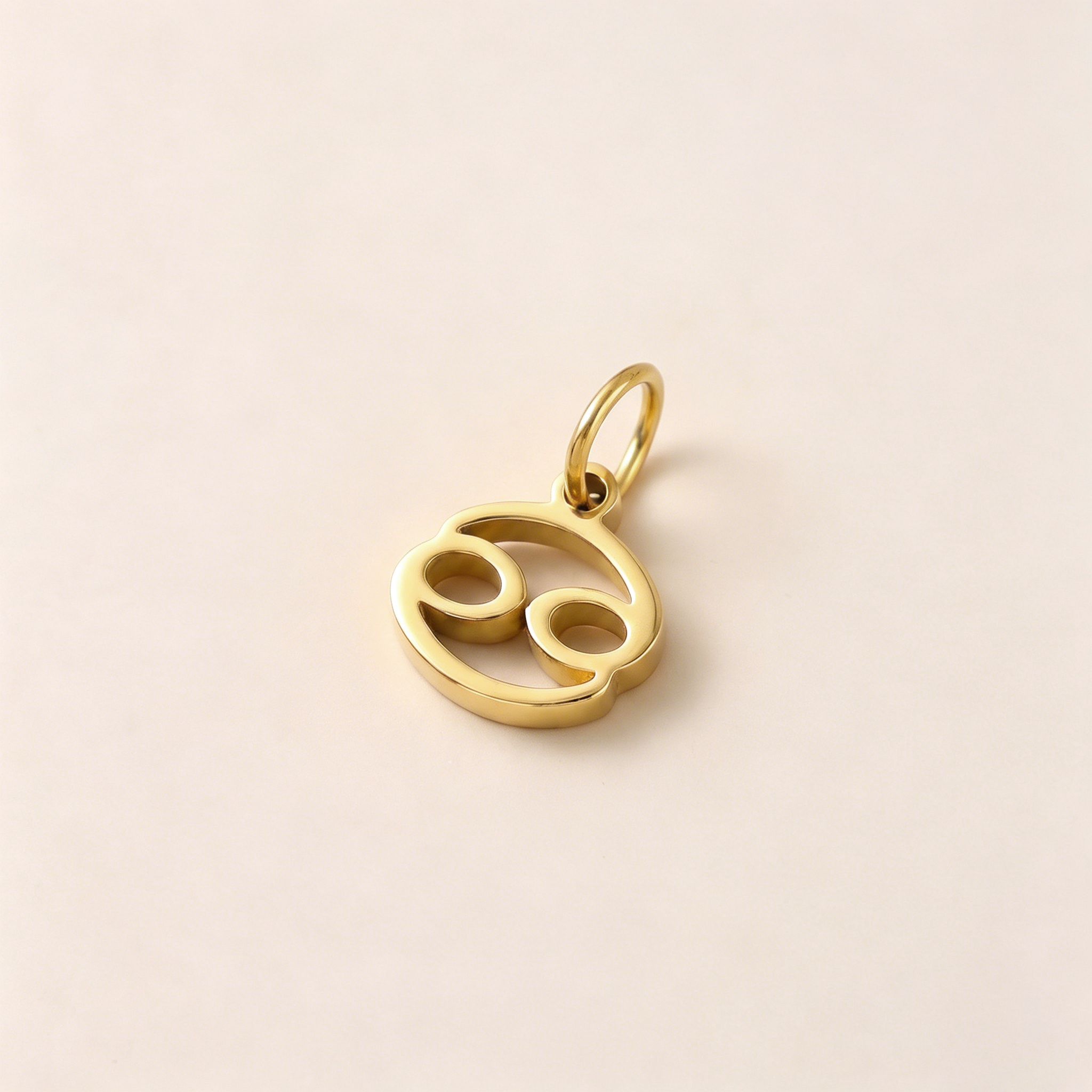 Zodiac Identity Charm | The Written in the Stars Collection