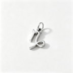 The Mystic Astrological Sign Charm